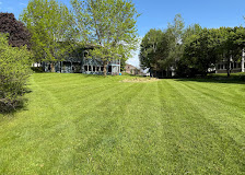 Manicured residential backyard