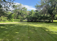 Park-like lawn under mature trees