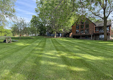 Freshly mowed lawn with checkerboard pattern