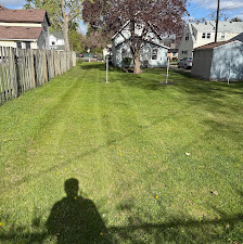 Backyard lawn with clean cut lines